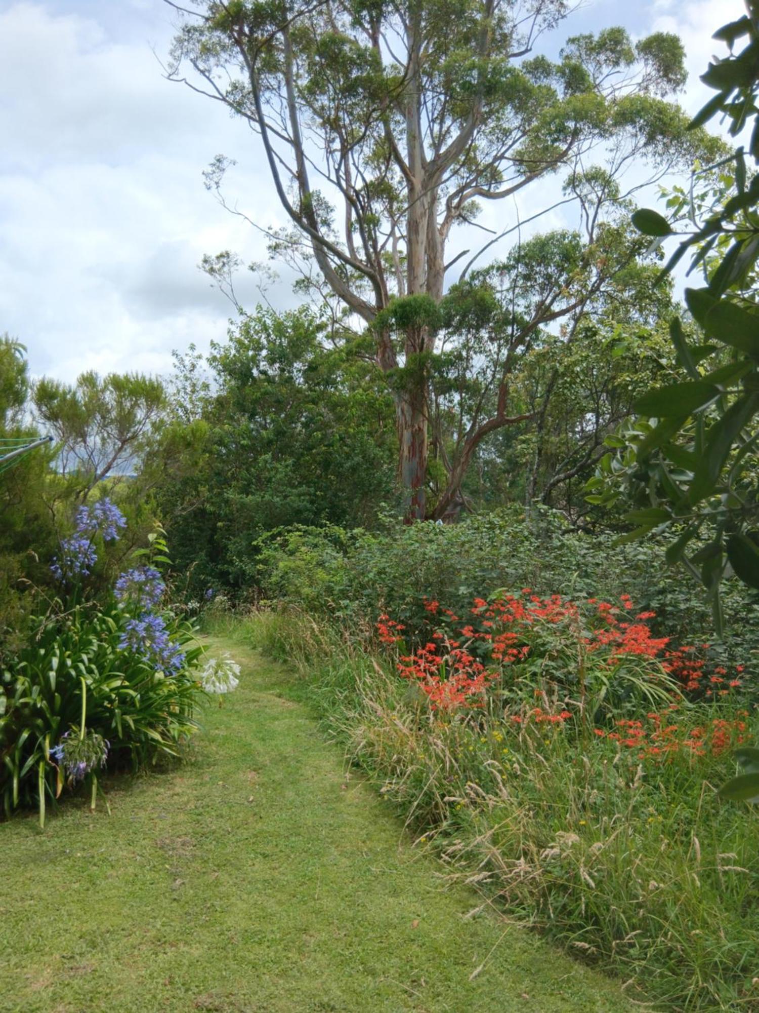 Purple Hen Country Lodge Katikati Eksteriør billede