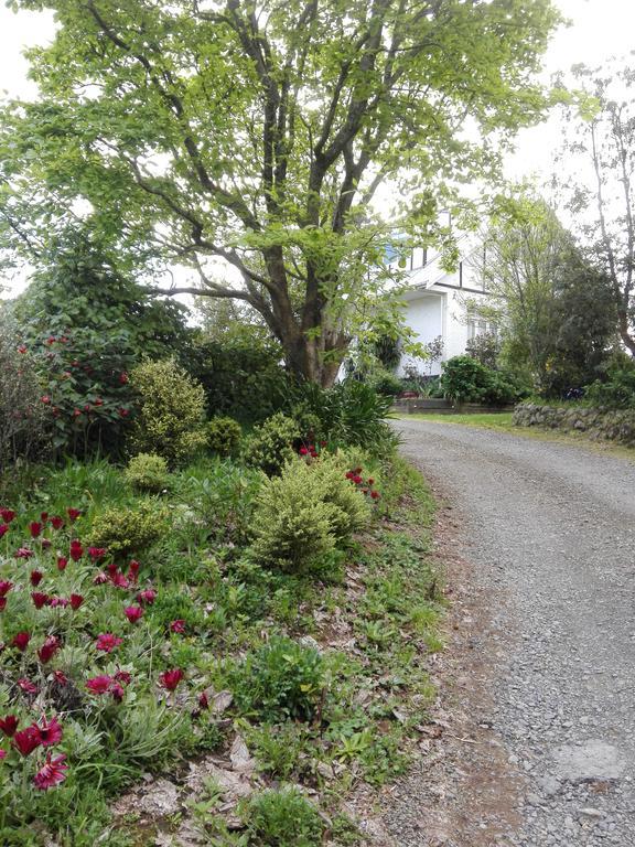 Purple Hen Country Lodge Katikati Eksteriør billede